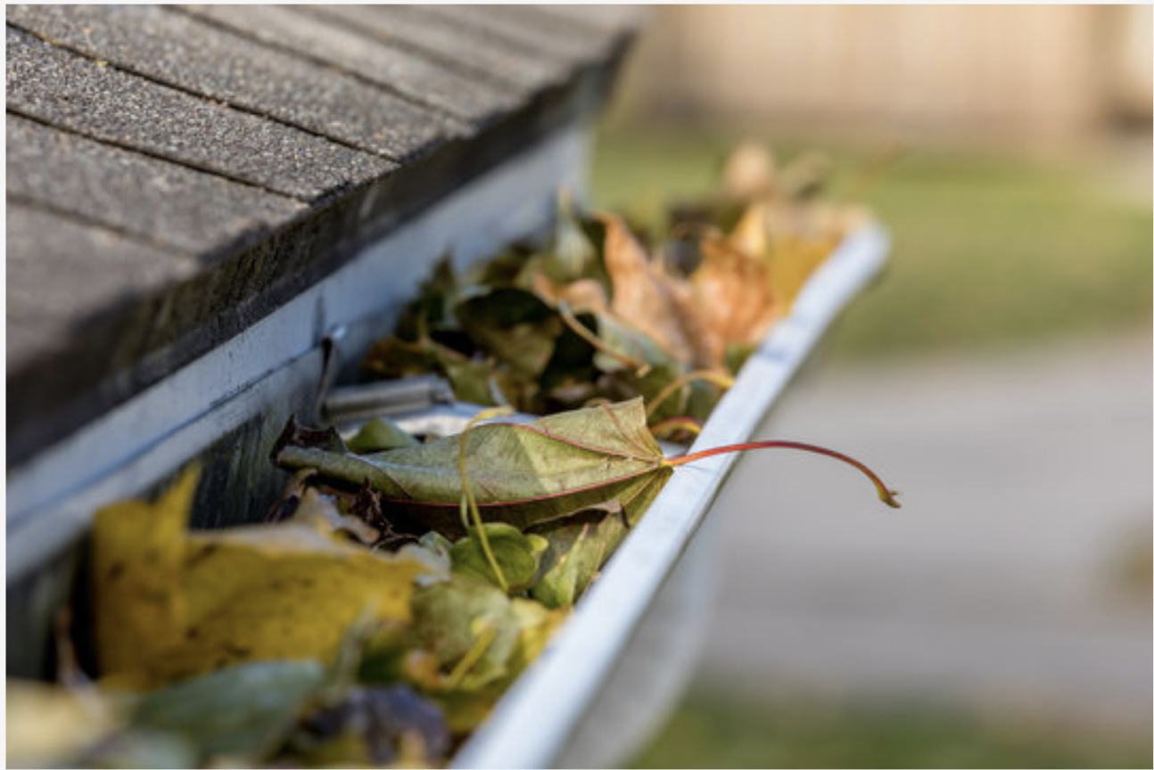 Clogged Gutters