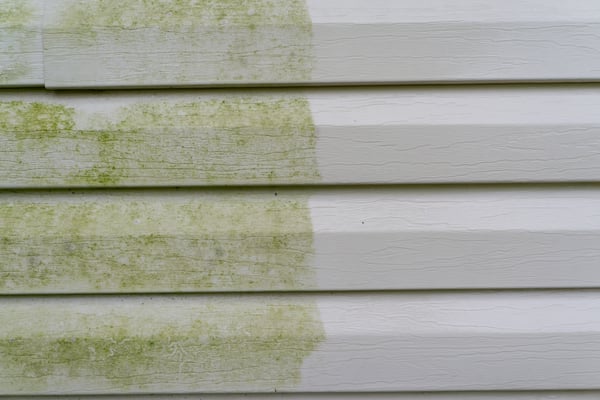 power-washed-vinyl-siding