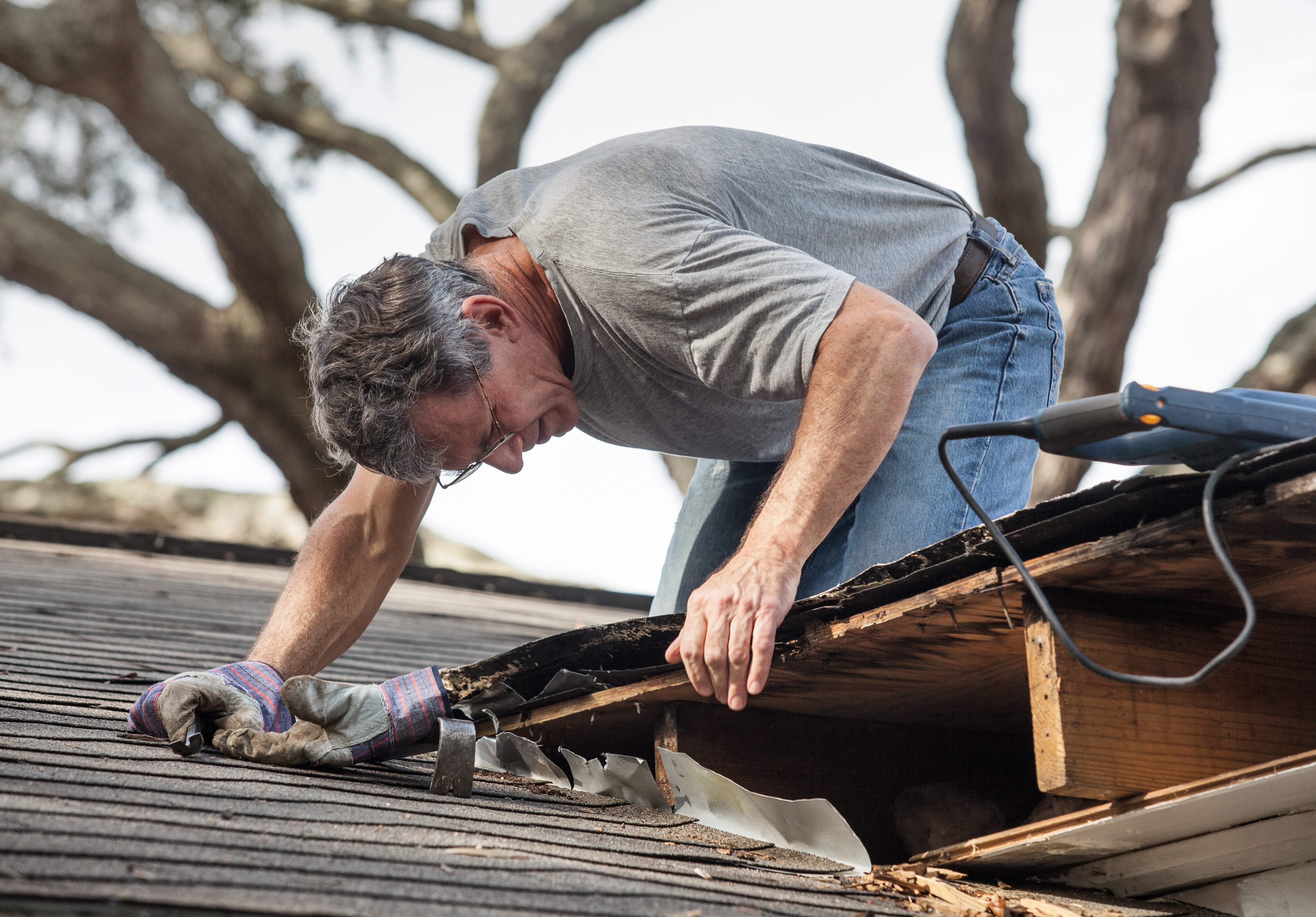 roof maintenance